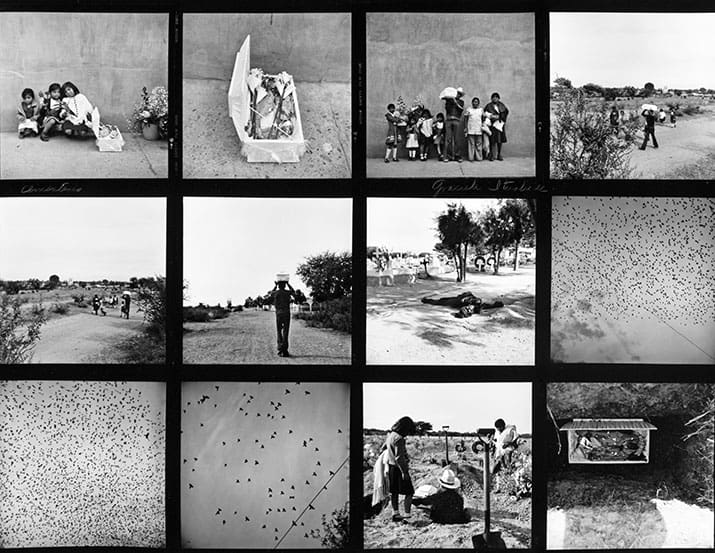 biografía graciela iturbide fotógrafa mexicana ganadora del premio hasselblad