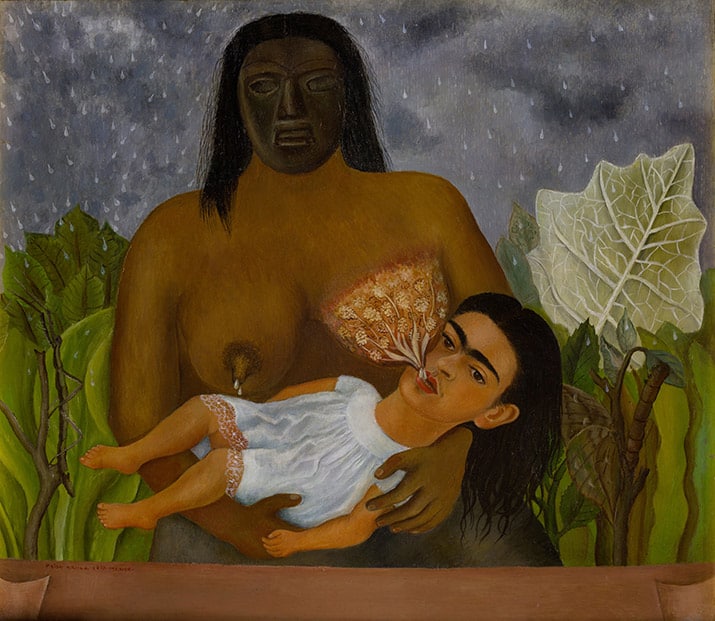 frida kahlo en el museo dolores olmedo, int3