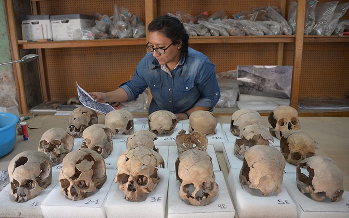 tzompantli centro histórico ciudad de méxico excavaciones guatemala, inah 4