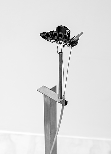 Fernando Palma MoMA, int1