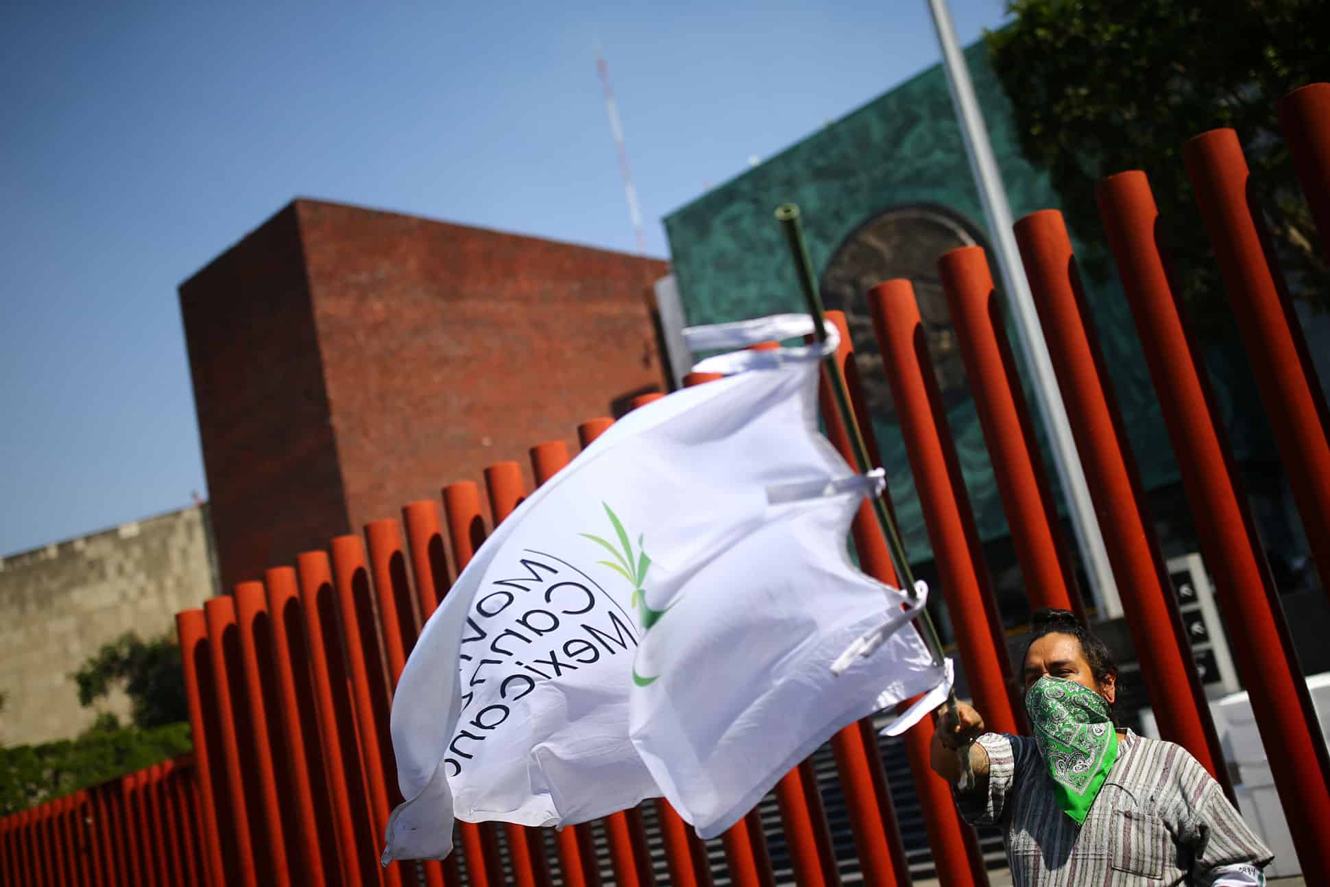 El 20 de abril activistas del movimiento cannábico y consumidores se reunieron afuera del Senado para celebrar el día de la mariguana. 