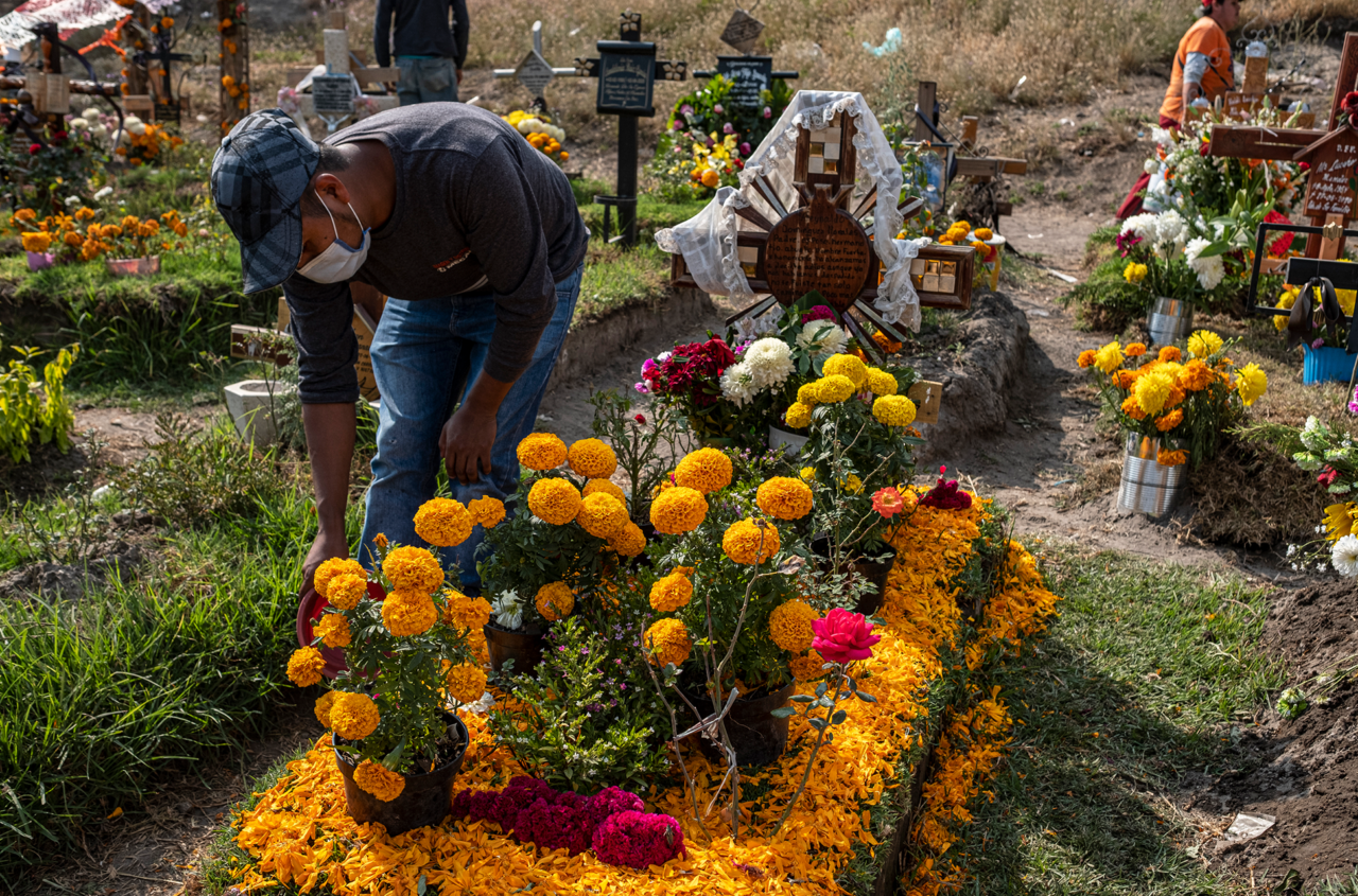 Día de Muertos: las 5 mejores ofrendas y altares en la CdMx