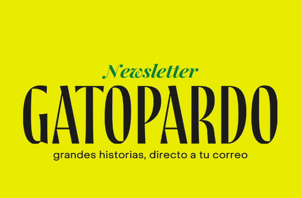 Newsletter Revista Gatopardo