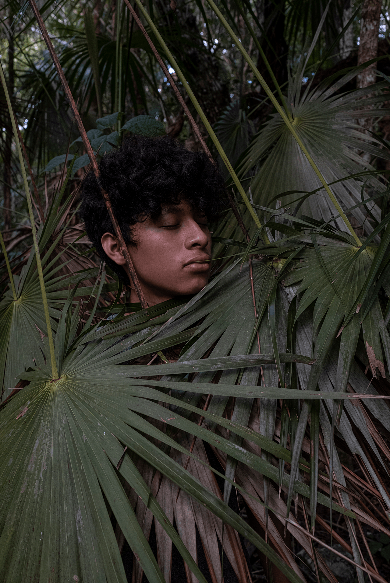 selva maya, chemuyil
