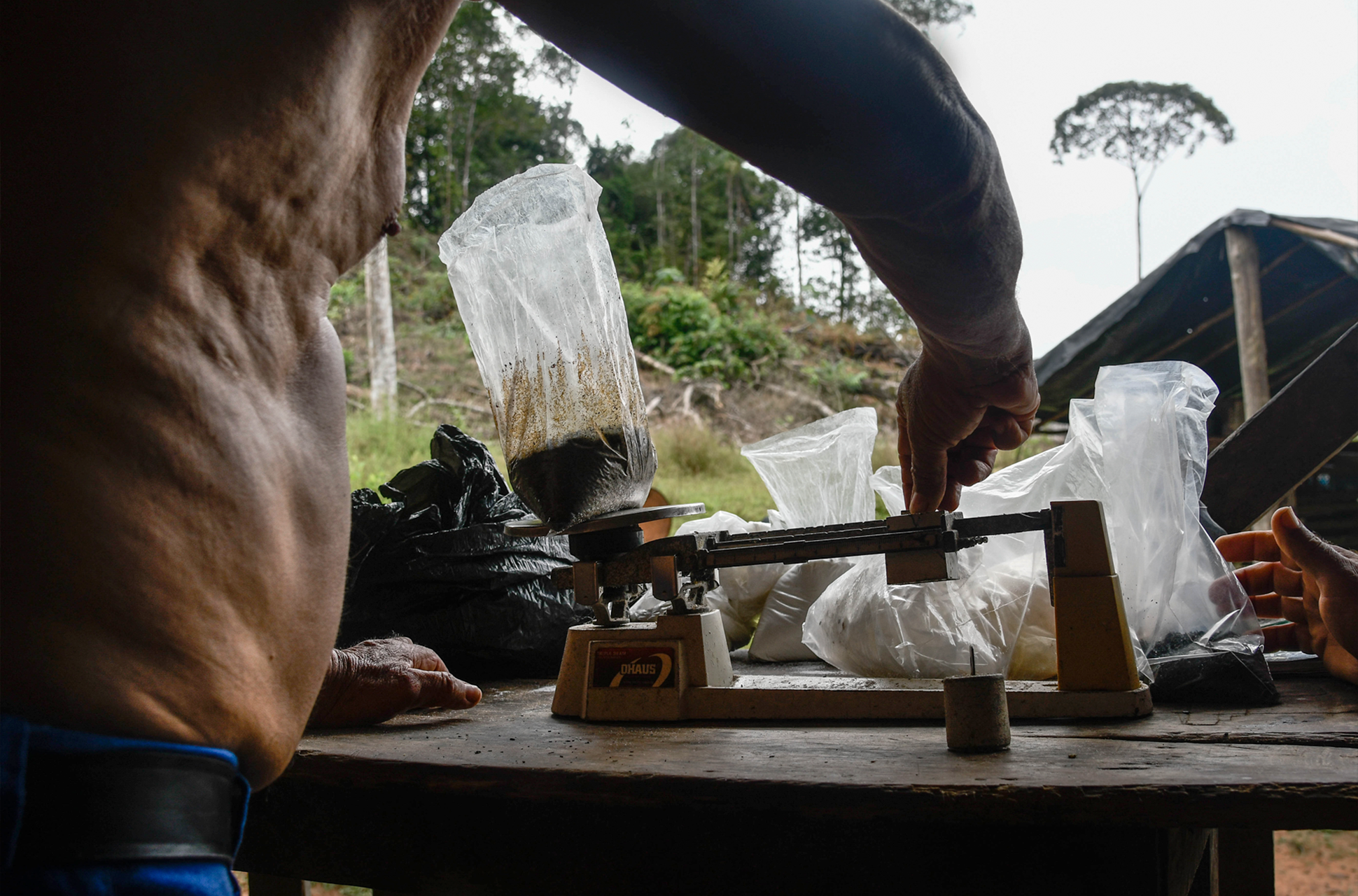 Las marcas de la coca, Colombia
