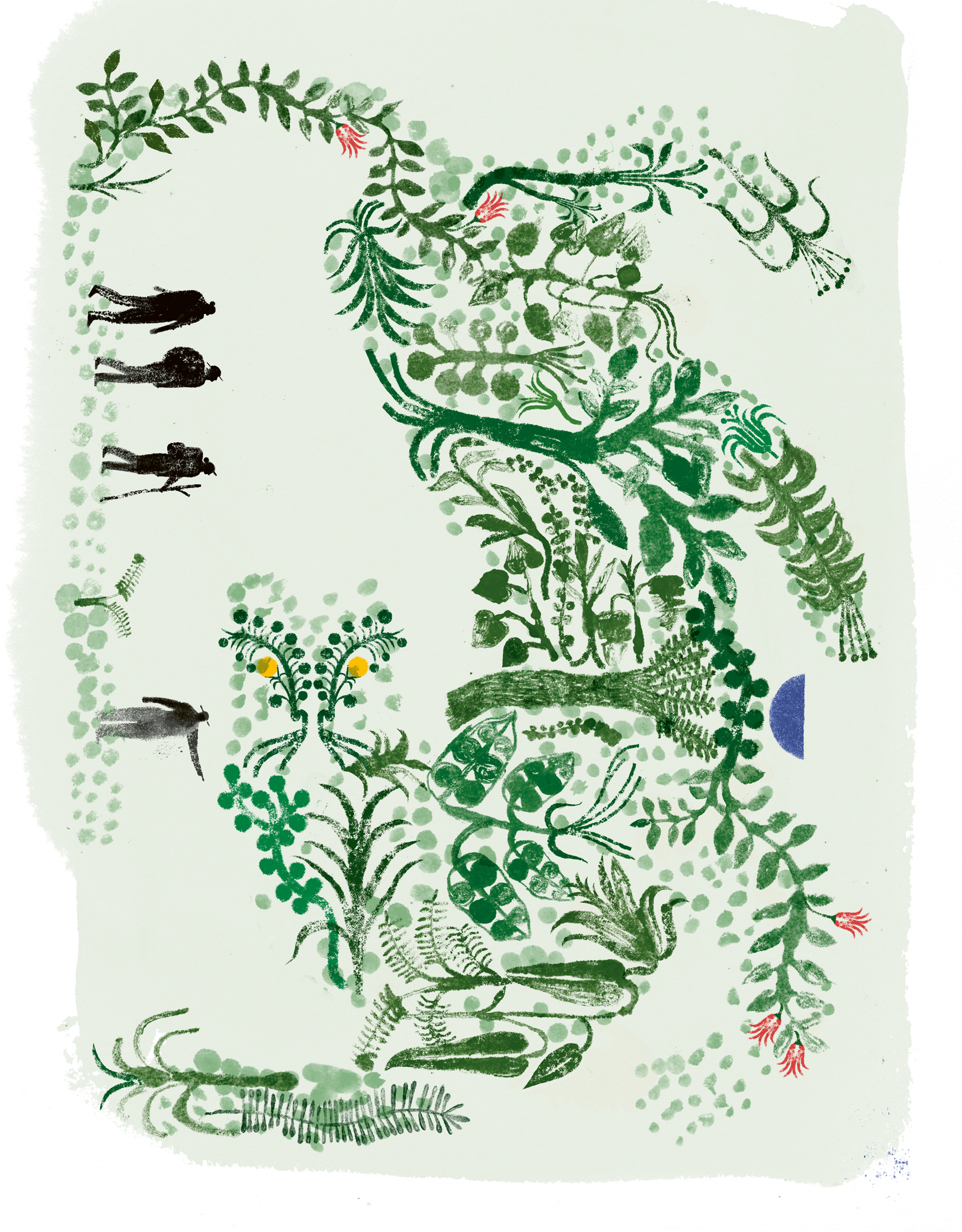 La selva Calakmul. Ilustraciones de Amanada Mijangos.