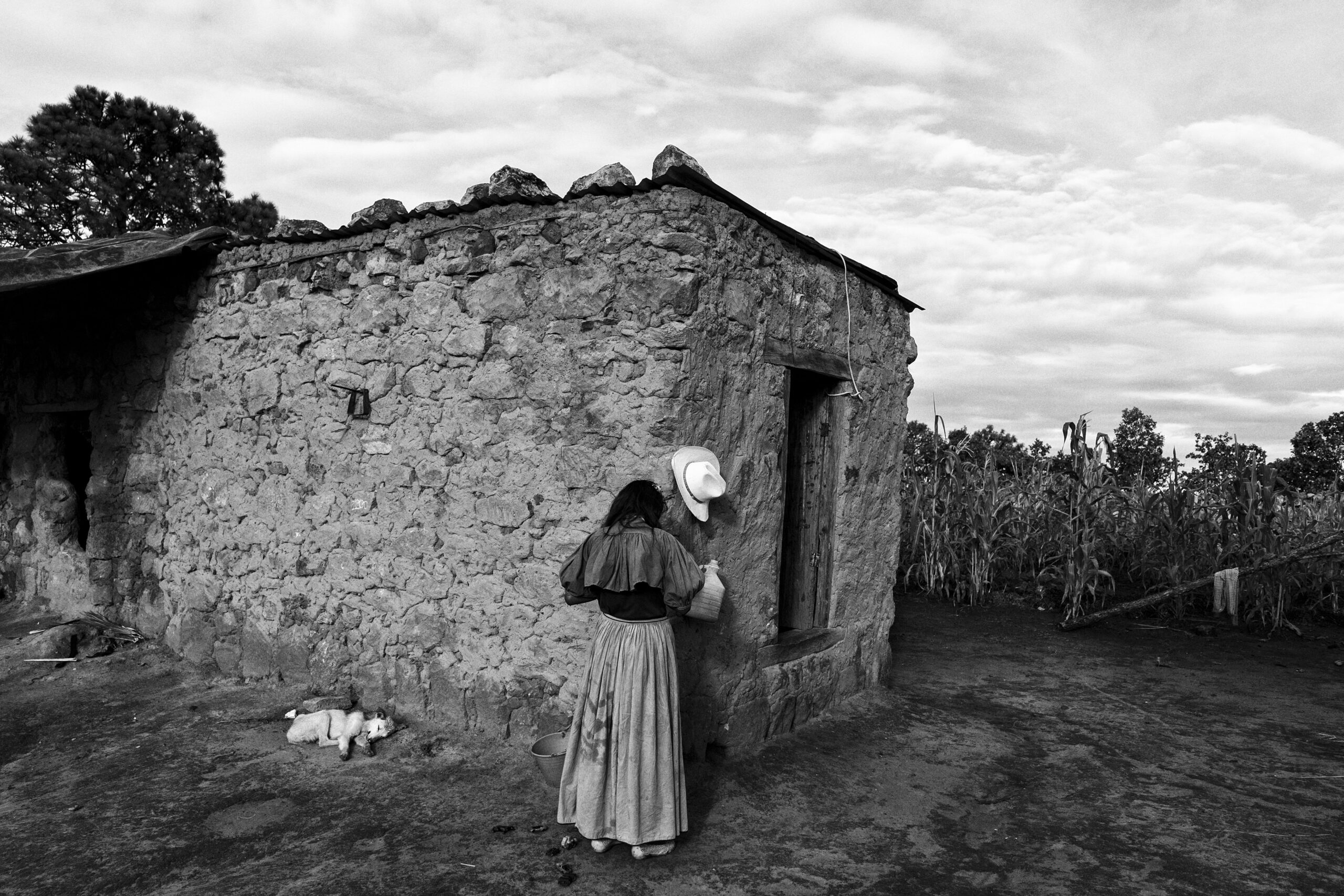 Casa donde una familia vive mientras trabaja en las plantaciones de tabaco en Nayarit