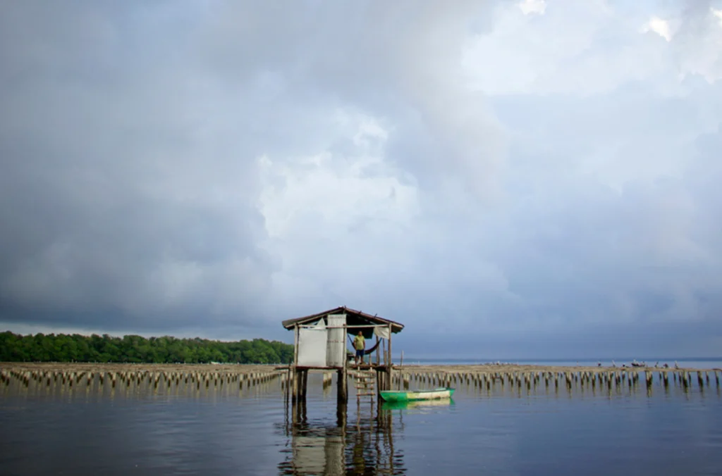 Cercanías a la refinería Dos Bocas