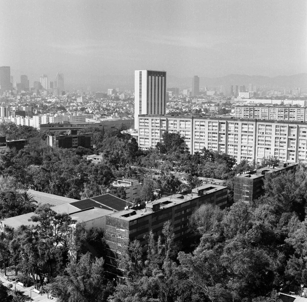 Con más de 16 mil ejemplares, Tlatelolco es la colonia con más población de árboles en toda la alcaldía Cuauhtémoc.